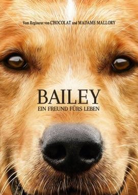 Bailey – Ein Freund fürs Leben