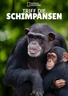 Meet the Chimps - Staffel 1