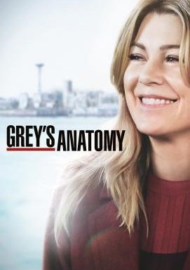 Grey's Anatomy: Die jungen Ärzte - Staffel 17