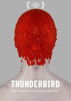 Thunderbird - Schatten der Vergangenheit