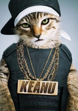 Keanu - Her mit dem Kätzchen!