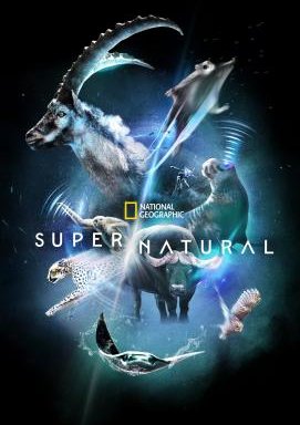 Super/Natural - Staffel 1