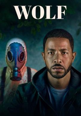 Wolf - Staffel 1